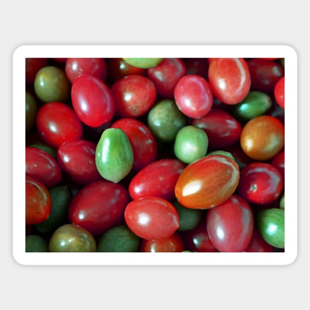 Red&Green Pop Tomatoes Magnet by Hemeria